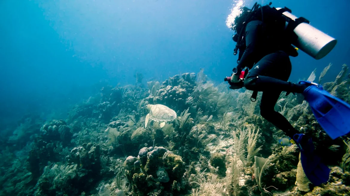 mexico-diving